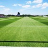 Barenbrug Turf Blue Healthy Grass Technology Lawn Seed Blend with Yellow Jacket Seed Coating, Heavy-Traffic HGT Grass Seed Mix for All Climates, 25lb - 2 of 2