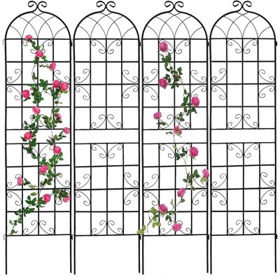 Metal Plant Trellises for Climbing Plants
