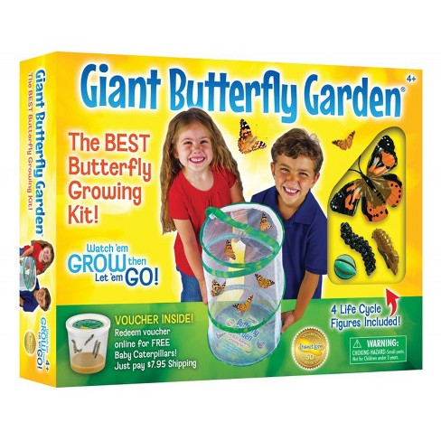 Insect Lore Giant Butterfly Garden® Deluxe Growing Kit : Target