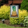Briarwood Lane Spring Garden Flag 12x18 For Outdoor Checkered Pineapple Everyday For Spring Garden Flag Flags For Outside - 4 of 4