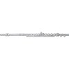 Etude Model EFL-100 Student Flute Level 2 Closed Hole, Offset G, C Foot 194744265778 - 4 of 4