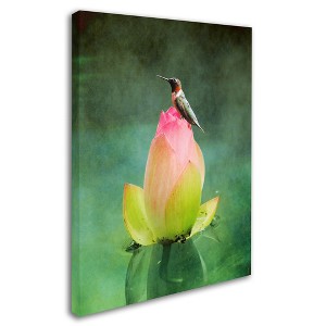 Trademark Fine Art -Jai Johnson 'Hummingbird And The Lotus Flower' Canvas Art - 1 of 3