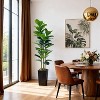 Artificial Fiddle Leaf Fig Tree with Planter, 6Ft Tall Fake Tree with Natural Wood Trunk for Home Decor, Faux Ficus Tree Fake Moss for Home Office - 2 of 4