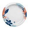 Perk Everyday Paper Plates, 8.5, White/Teal, 125/Pack (24375263)
