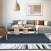 Nasitip Modern Abstract Area Rugs for Living Room Soft Low Pile Non-Sliping, Machine Washable - 4 of 4