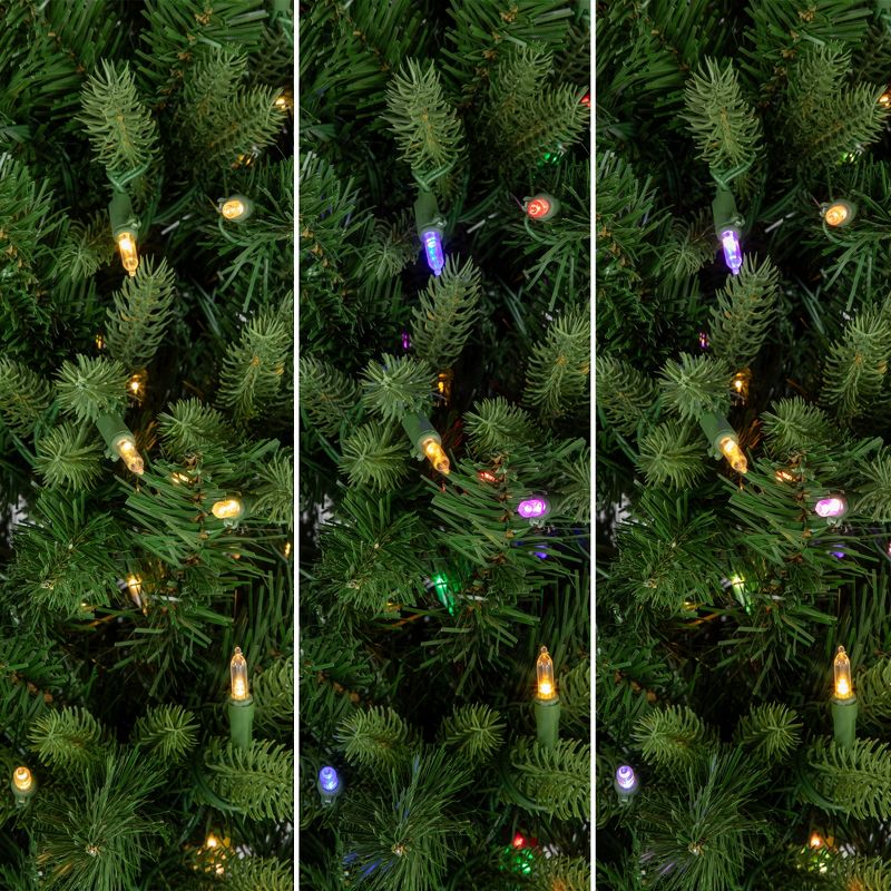 Northlight Real Touch™️ Pre-Lit Washington Frasier Fir Multi-Function Slim Christmas Tree - 7.5' - Dual Color LED Lights, 5 of 11