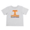 NCAA Tennessee Volunteers Toddler Boys' 2pk T-Shirt - 3 of 4