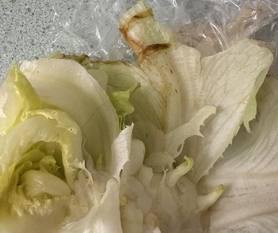 Guest review image 1 of 2, zoom in