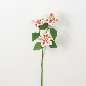 Sullivans Artificial White Red Poinsettia Stem 25"H Off-White Flowers - 1 of 1