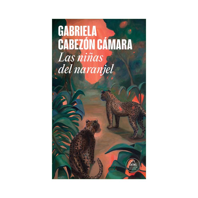 Las Niñas del Naranjel / The Girls from the Orange Grove - by  Gabriela Cabezón Cámara (Paperback), 1 of 2