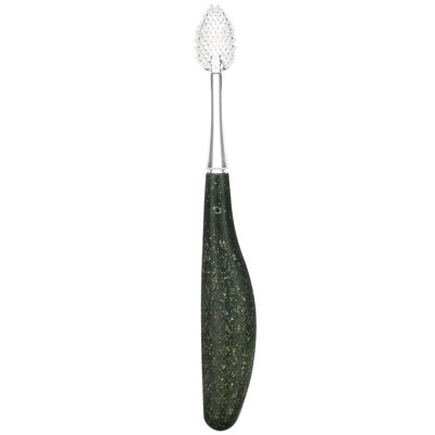 RADIUS Source Brush, Soft, Replaceable Head, 1 Toothbrush,