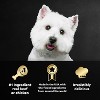 Cesar Classic Loaf In Sauce Adult Wet Dog Food - 3.5oz/24ct - 4 of 4