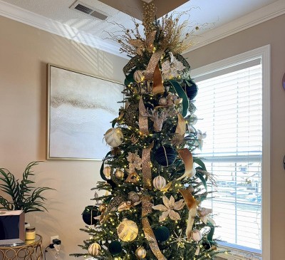 Guest review image 1 of 2, zoom in