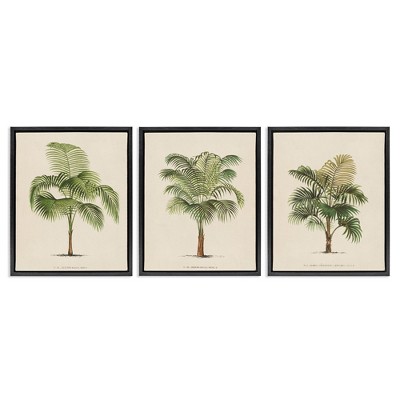 Stupell Industries Les Palmiers Botanical Trio, 17" x 21"