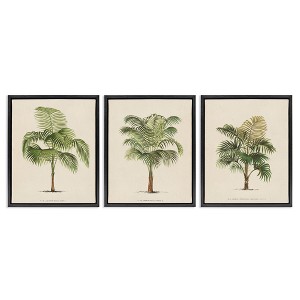 Stupell Industries Les Palmiers Botanical Trio, 17" x 21" - 1 of 4