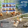 Chicken Nesting Boxes Galvanized Steel Rustproof Egg Laying Box with Egg Collection Systems, Hen Eggs Laying Box, for Chicken House/Duck House/Hen - 3 of 4