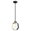 Livex Lighting Meadowbrook 1 - Light Pendant in  Black/Brushed Nickel - 2 of 4