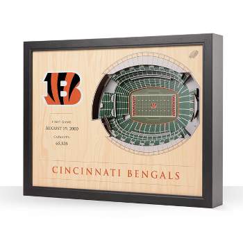 NFL Cincinnati Bengals 25-Layer StadiumViews 3D Wall Art