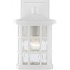 Quoizel Lighting Stonington 1 - Light Sconce in  Fresco - 4 of 4