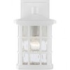 Quoizel Lighting Stonington 1 - Light Sconce in  Fresco - image 4 of 4