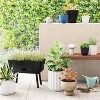6" Square Outdoor Planter - Room Essentials™ - image 2 of 4