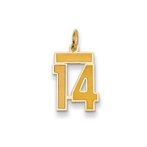 Black Bow Jewelry 14k Yellow Gold, Jersey Collection, Small Number 14 Pendant - 1 of 2