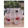 Paisley Acrylic Glasses Drinking Set of 4 Hi Ball (17oz), Plastic Drinking Glasses, BPA Free Cocktail Glasses, Drinkware Set, Drinking Water Glasses - 4 of 4