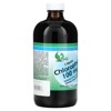World Organic Liquid Chlorophyll, 100 mg , 16 fl oz (474 ml) - 4 of 4