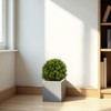 KTMBDW Indoor&Outdoor use 22in Boxwood Double Ball Topiary Trees Faux Topiary Tree for Porch,Home,Garden Decor - 2 of 4