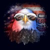 Men's Lost Gods Fourth of July USA Eagle T-Shirt - 2 of 4