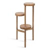Kate and Laurel Fitley Round Wood Plant Stand, 16x16x35, Natural - 2 of 4