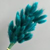 Alilang Dried Bunny Tail Grass Stems for Modern Home Decoration and Floral Arrangements, 23.5 Inches - 2 of 3