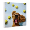 Stupell Industries Happy Smiling Pet Dog with Yellow Tennis Balls Wall Plaque Art - 2 of 4