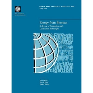 Energy from Biomass - (World Bank Technical Papers) by  Peter Quaak & Harrie Knoef & Hubert E Stassen (Paperback) - 1 of 1