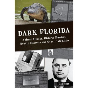 Dark Florida - by  Brown (Paperback) - 1 of 1