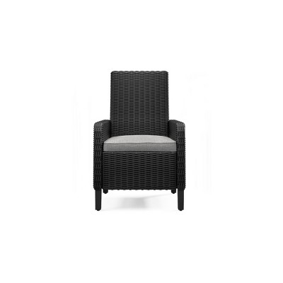 Gray Wicker Outdoor Arm Chairs with Cushions, Set of 2