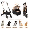 Sandinrayli 3-In-1 Folding Pet Stroller, Dog Cat Traveling Stroller w/ Detachable Carrier, 4 Wheels, Black and Golden - 2 of 4