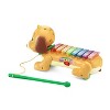 Vtech Zoo Jamz Doggy Xylophone : Target