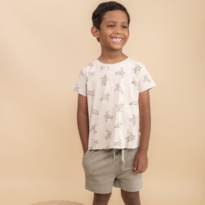 Organic Tee & Shorts Set - Turtles - 1 of 4