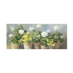 Trademark Fine Art -Danhui Nai 'White Geraniums V2' Canvas Art - 1 of 4
