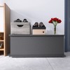 Gulches Storage Chest Trunk, Lift Top Wood Box for  Entryway Bench Organizer Home Furniture, Black - 2 of 4
