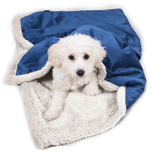 Target discount dog blanket