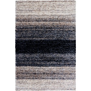 Berber Shag BER414 Power Loomed Area Rug  - Safavieh - 1 of 4