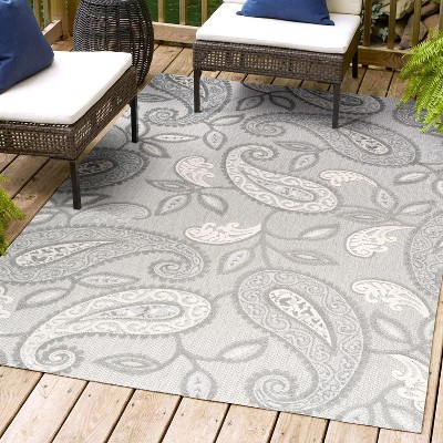 Light Gray and Ivory Paisley Indoor/Outdoor Area Rug 5' x 7'