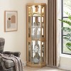 FURNIinspire Utility Storage Cabinets Tall Glass Cabinet, Antique Corner Cabinet, Display Case Showcase For Collection, Brown, 15.31"*15.31"*69.84" - 4 of 4