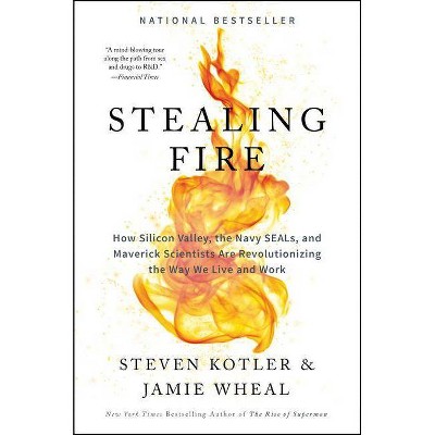  Stealing Fire - by  Steven Kotler & Jamie Wheal (Hardcover) 