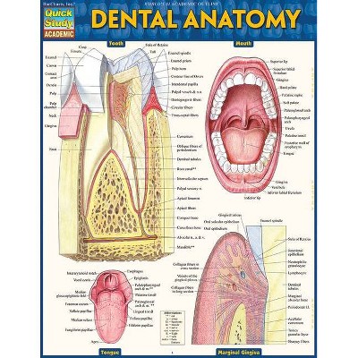 Dental Anatomy - by  Vincent Perez (Poster)