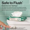 The Honest Company Adult Flushable Personal Wipes - 126ct - 2 of 4