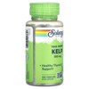 Solaray True Herbs, Kelp, 100 Vegcaps - 4 of 4
