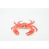 Collectible Wildlife Gifts | Crab, King Crab, Rubber Crustacean, Museum Quality, Hand Painted, Realistic Toy Figure, Model, Gift,   4"   CH445 BB114 - 4 of 4